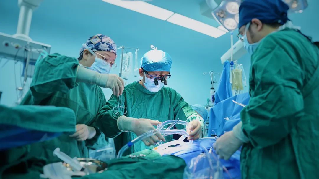 1680058926692087778.jpg 微信图片_20230329103551.jpg